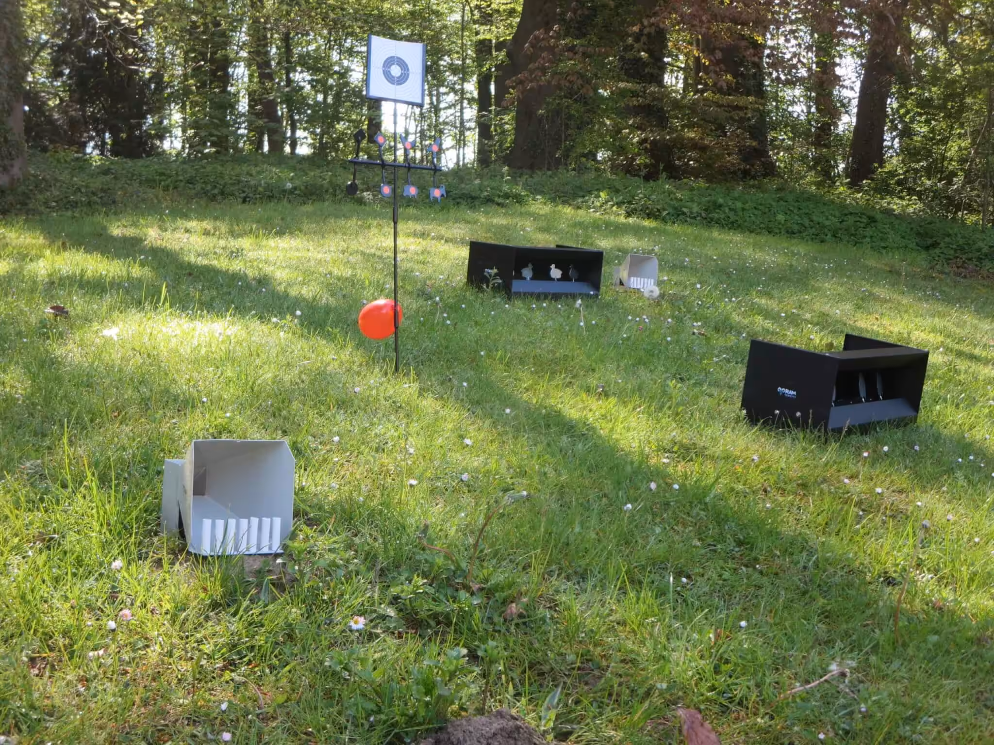 Doelen op grasveld in bosrijke omgeving