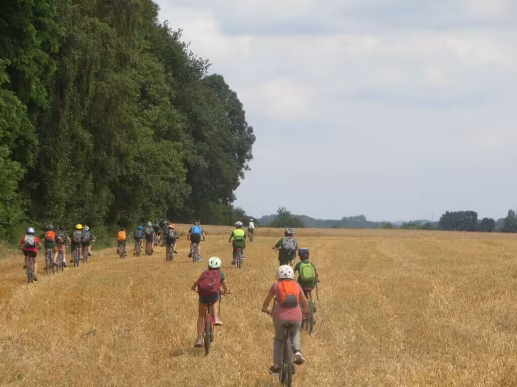 Groep fiets in graanveld