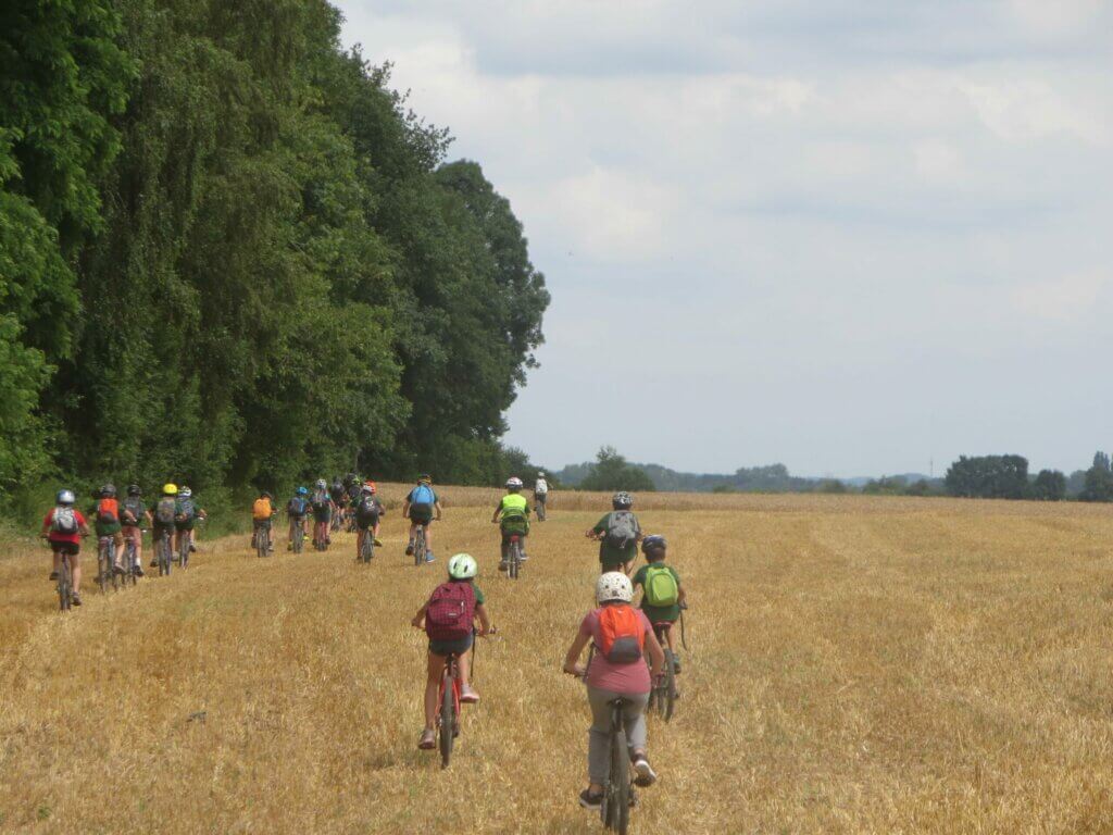 Groep fiets in graanveld