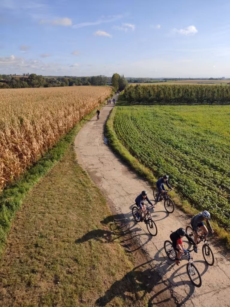 Groep fietsers op landweg tussen velden in België.